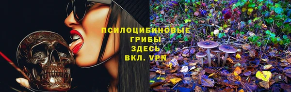 Альфа ПВП Михайлов