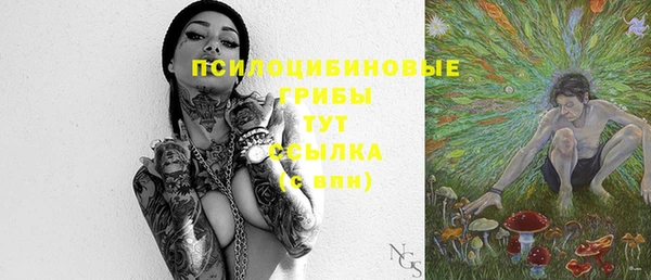 дмт Белая Холуница