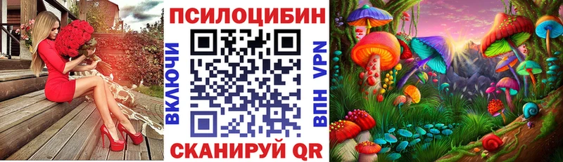 Псилоцибиновые грибы Psilocybe Черемхово