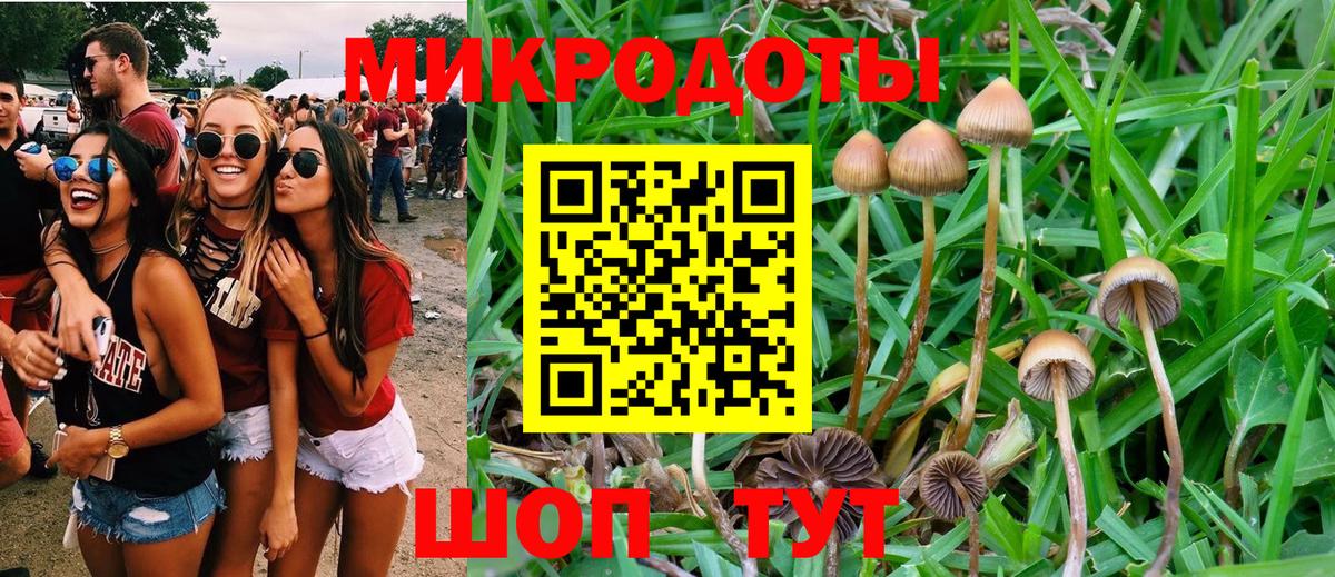 Псилоцибиновые грибы MAGIC MUSHROOMS  Вход с VPN  Галлюциногенные грибы Cubensis  Черемхово 